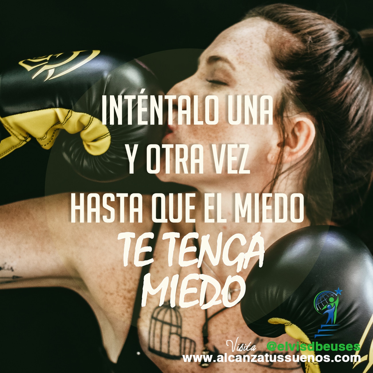Ver las imágenes de origen