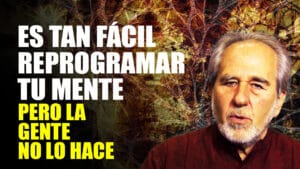 Cómo Reprogramar la Mente antes de Dormir. Bruce Lipton: Reprogramar el Subconsciente para la Riqueza