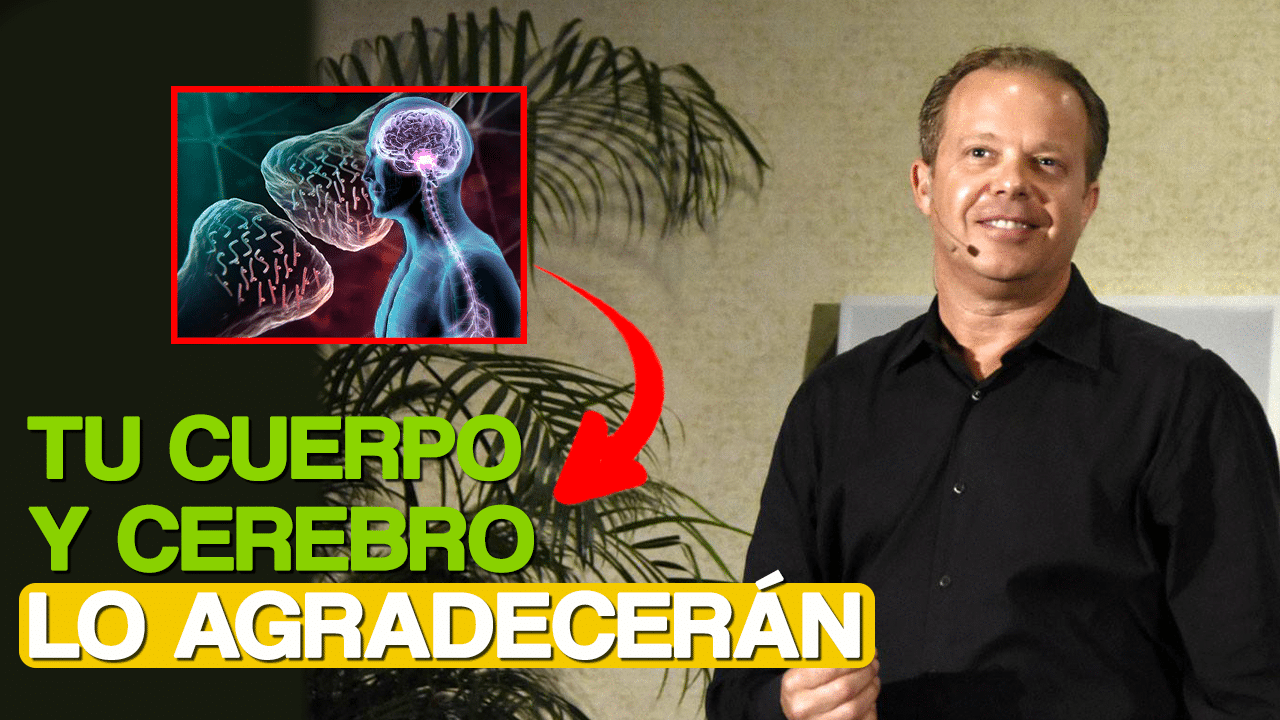 🔴 ASÍ Podrás Cambiar tu Mente y Cuerpo a Través de la Meditación. Dr ...